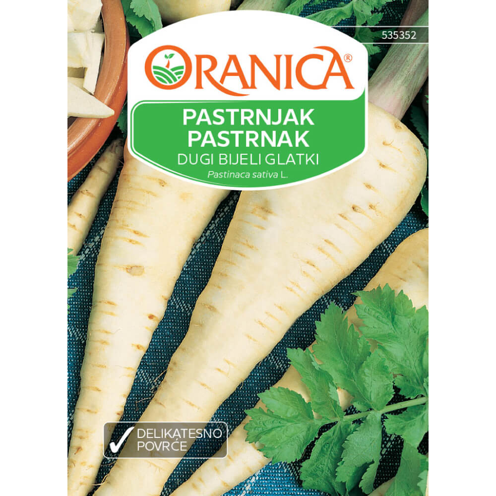 Pastrnjak / Pastrnak Dugi bijeli glatki