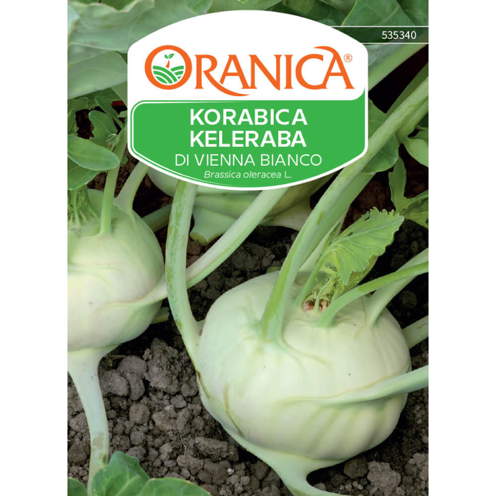 Korabica Di Vienna Bianco
