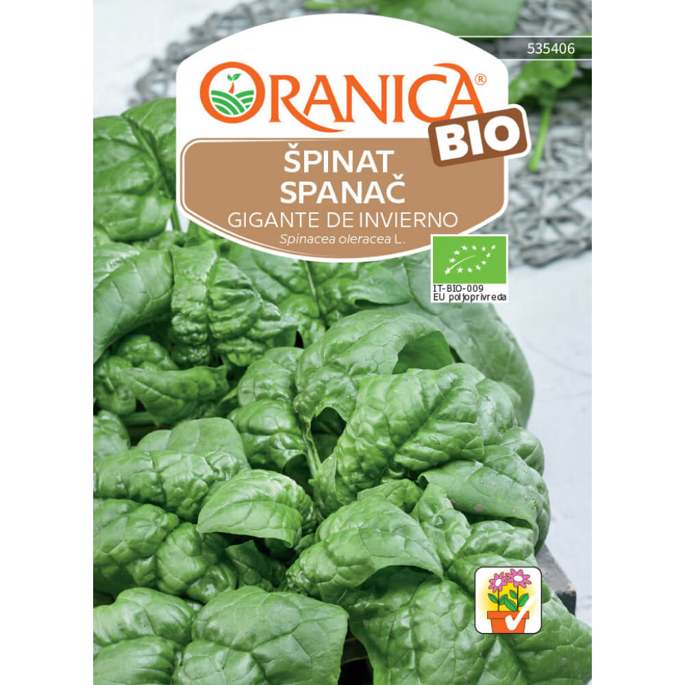 Špinat / Spanać BIO Gigante de Invierno