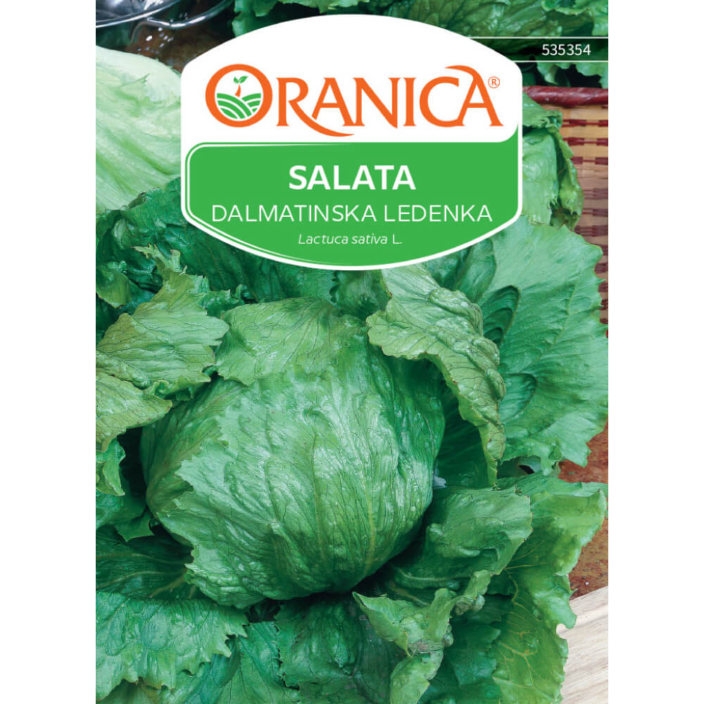 Salata Dalmatinska ledenka