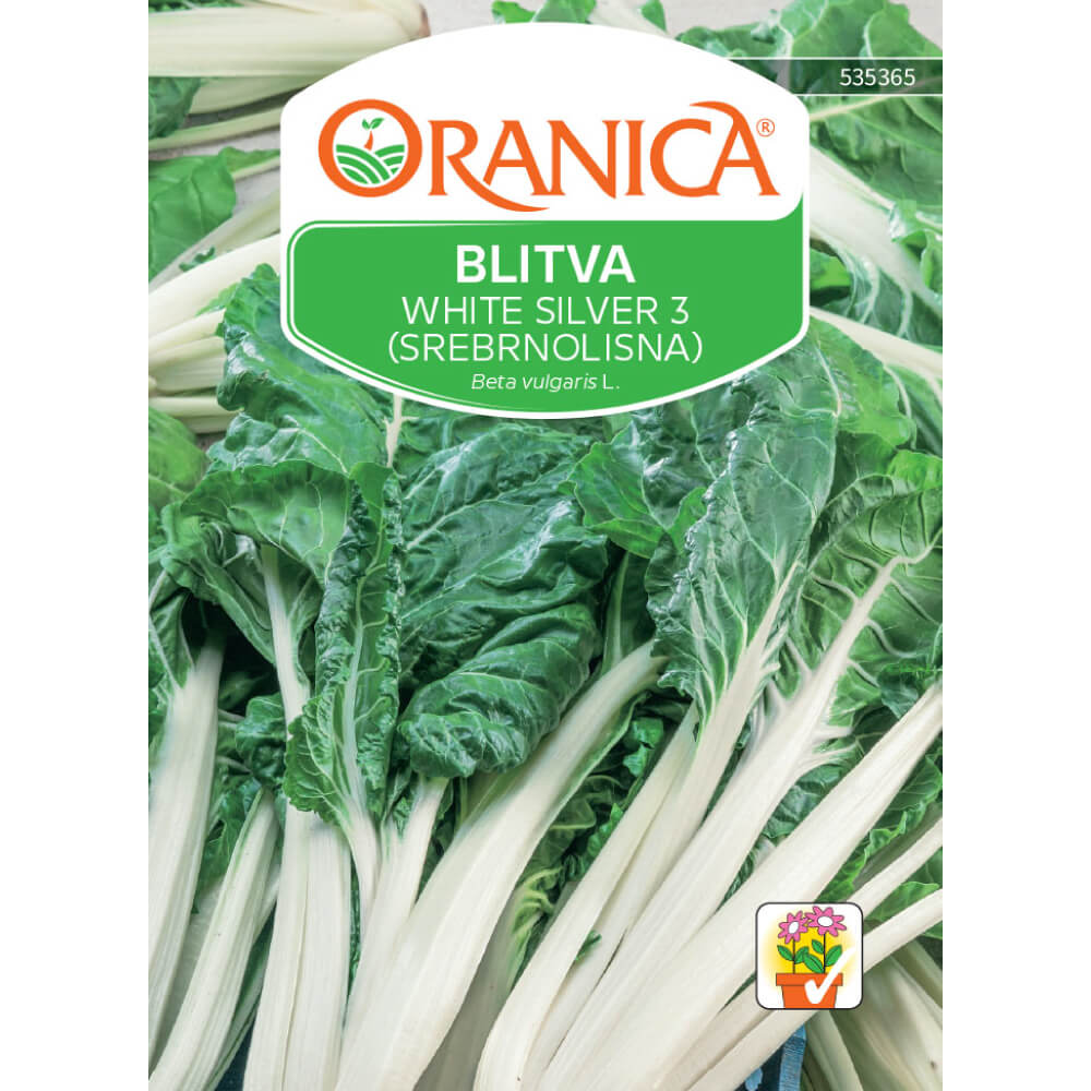 Blitva White Silver 3 (Srebrnolisna)