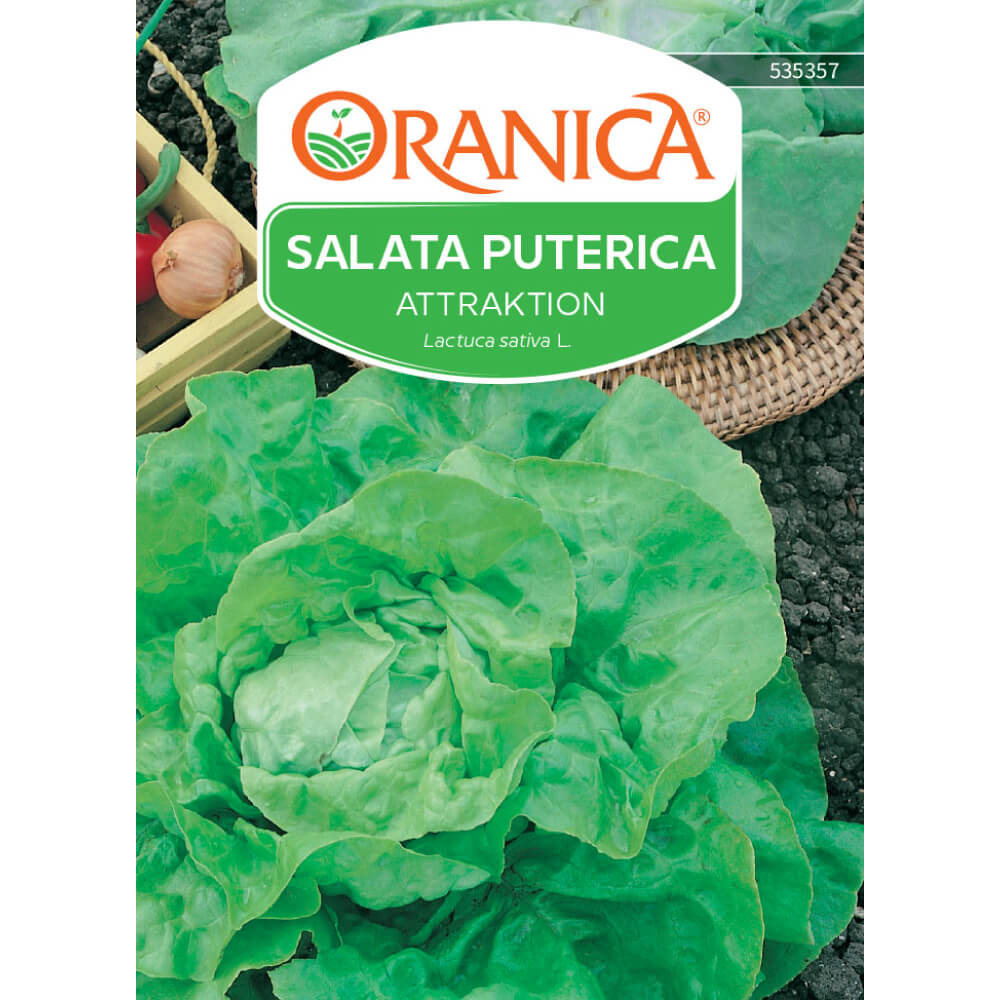 Salata puterica Attraktion