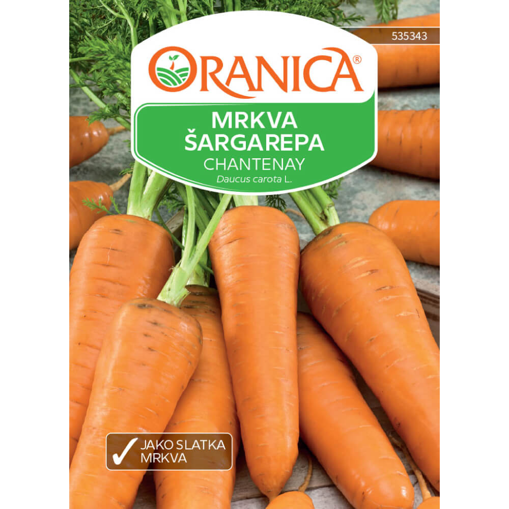 Mrkva / Šargarepa Chantenay