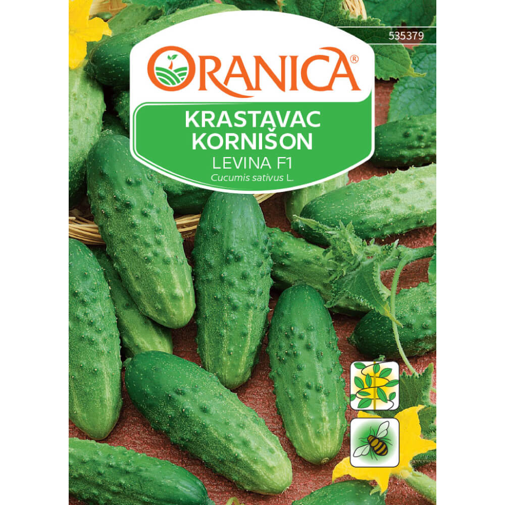 Krastavac kornišon Levina F1