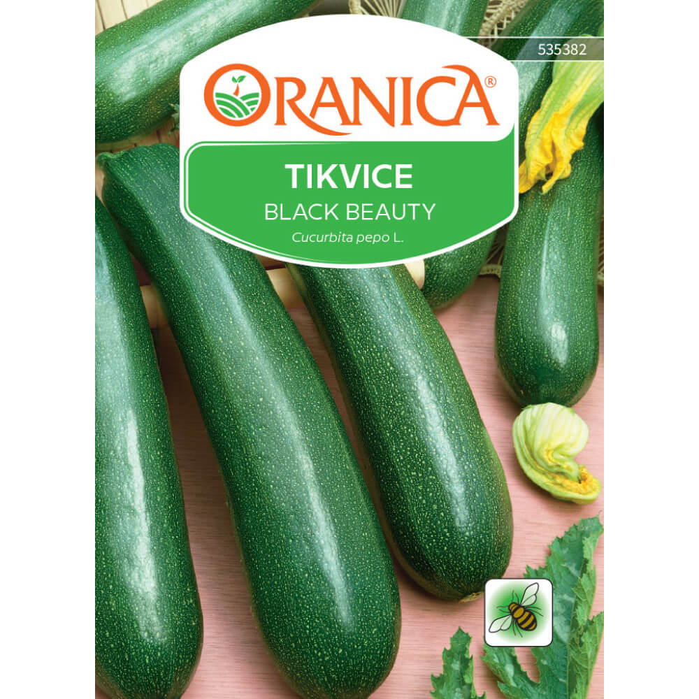 Tikvice Black Beauty