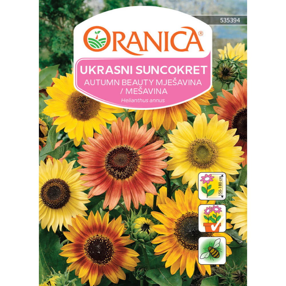 Ukrasni suncokret Autumn Beauty mješavina
