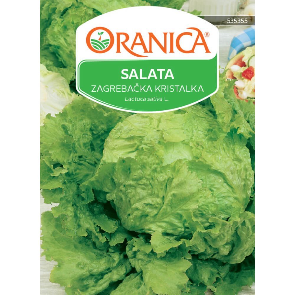 Salata Zagrebačka kristalka