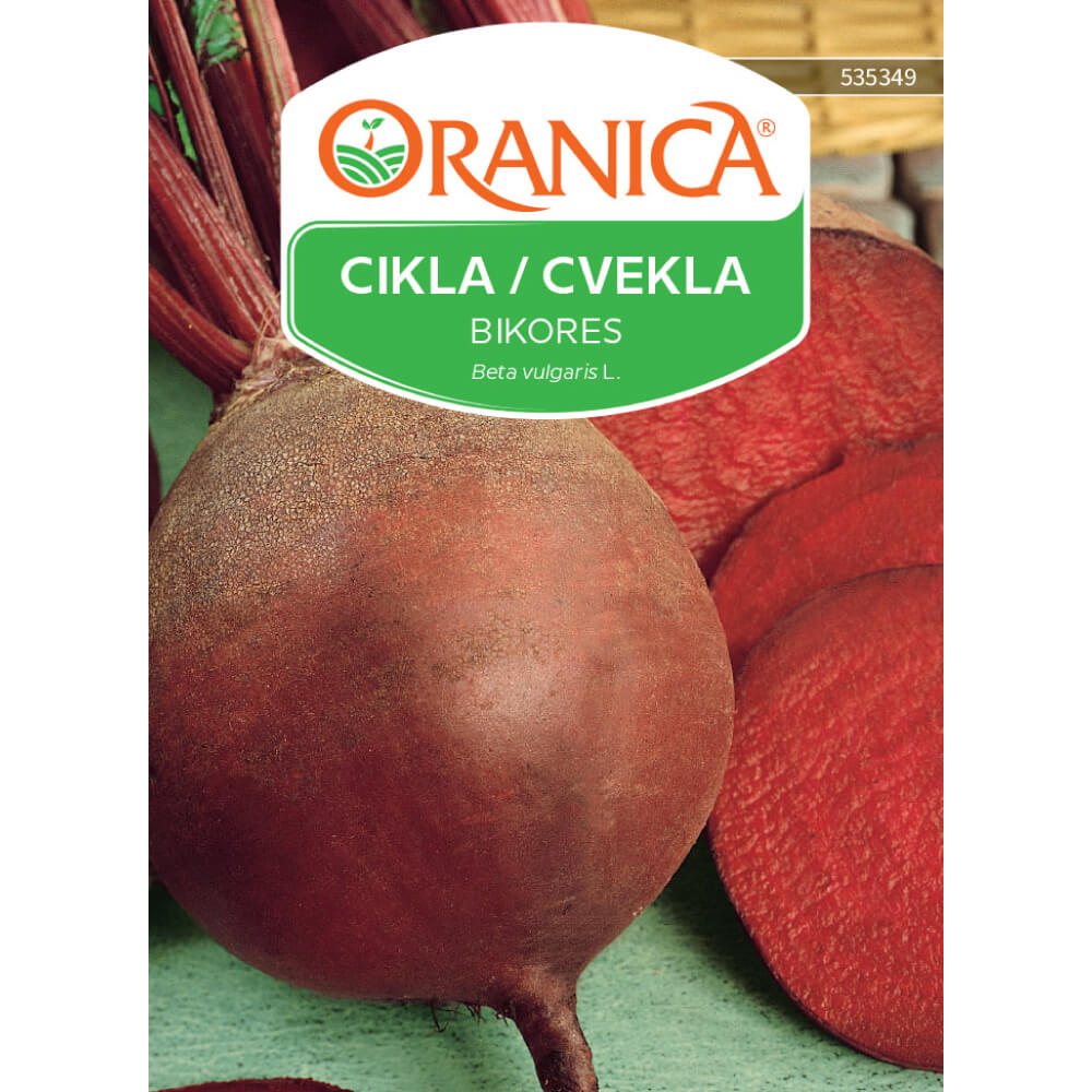 Cikla / Cvekla Bikores