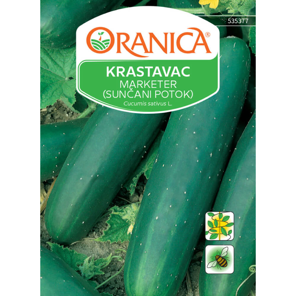 Krastavac Marketer (Sunčani potok)