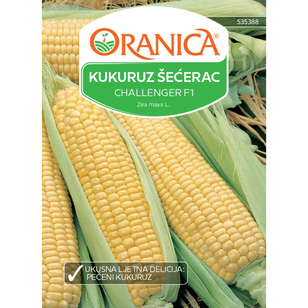 Kukuruz šećerac Challenger F1