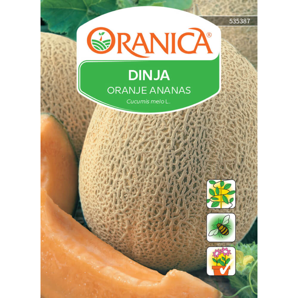 Dinja Oranje Ananas