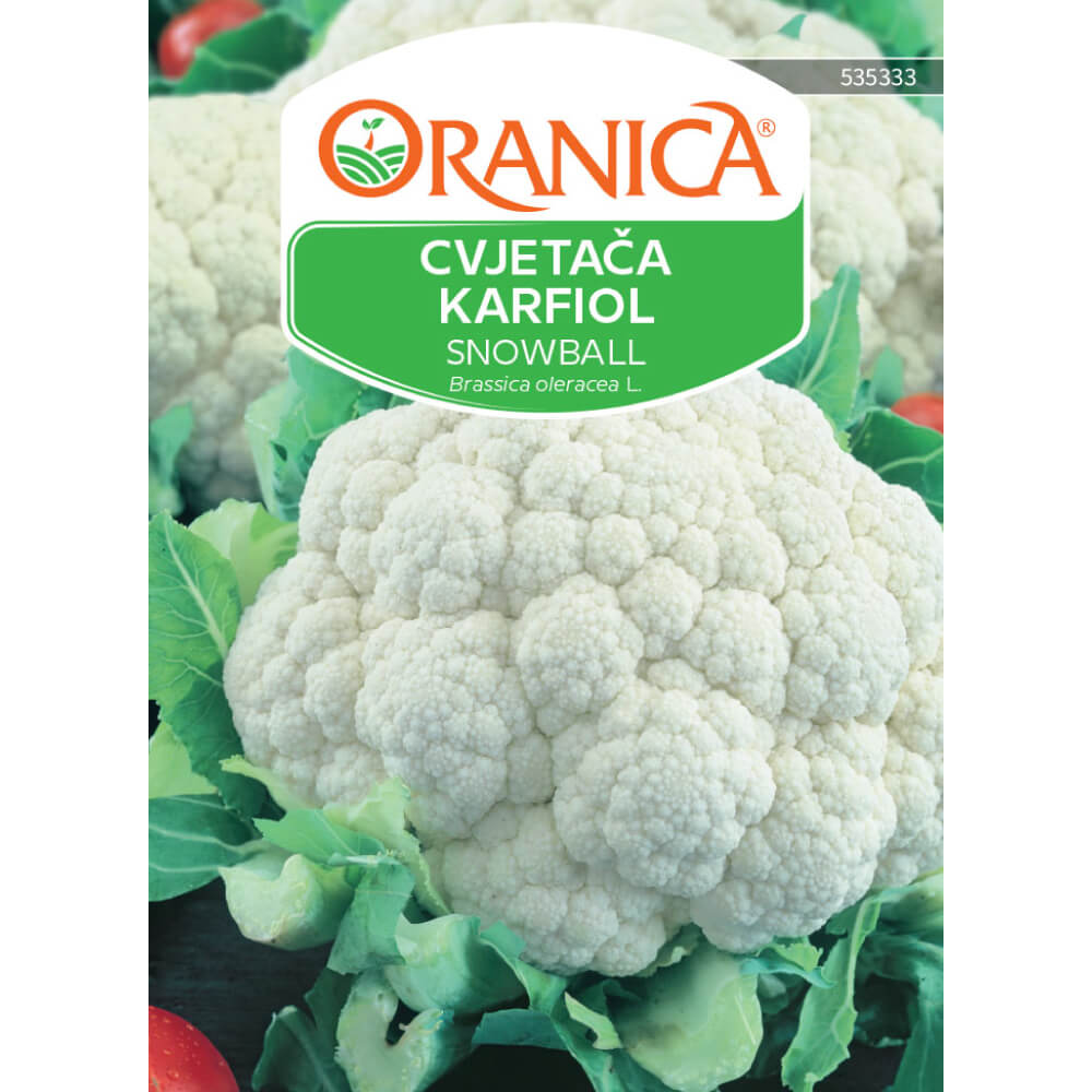 Cvjetača Snowball