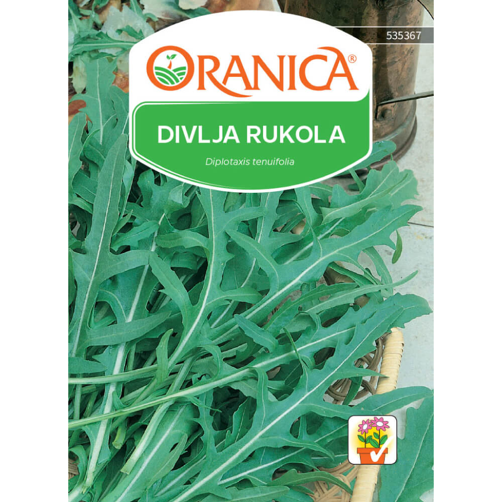 Divlja rukola Diplotaxis tenuifolia