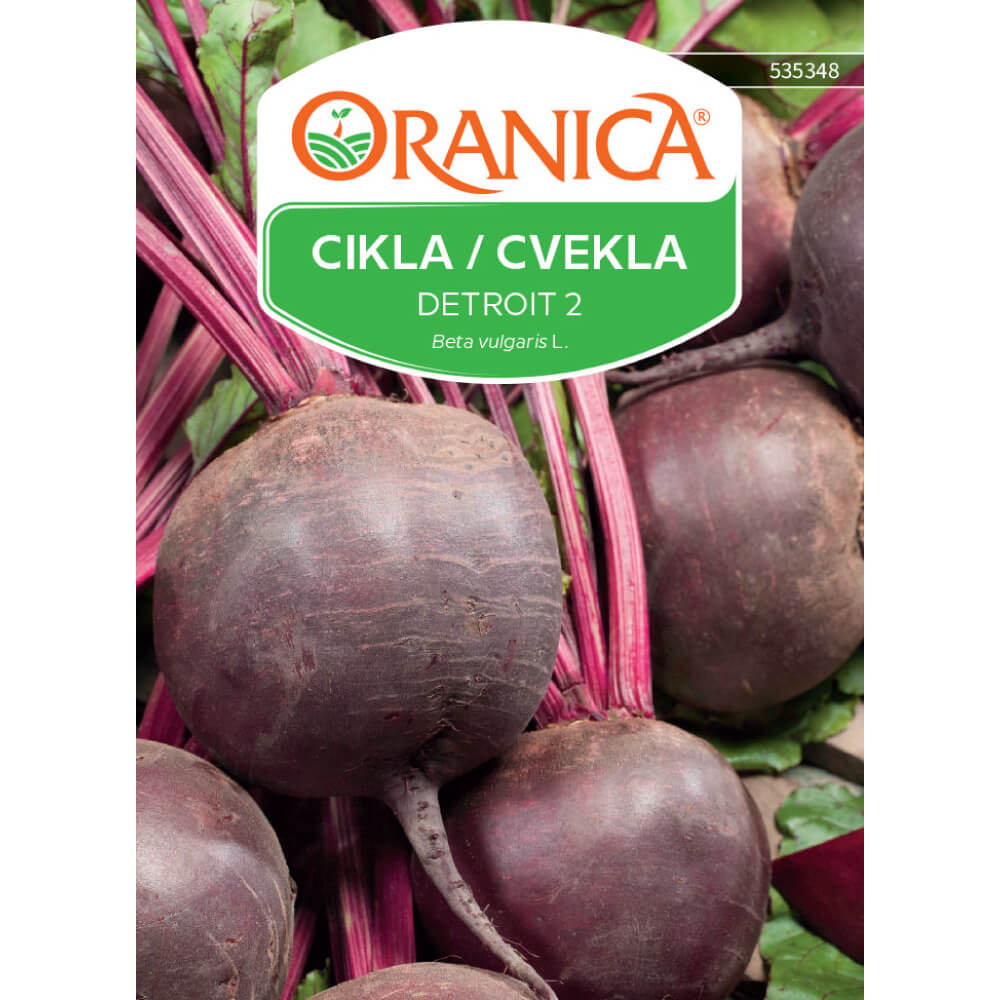 Cikla / Cvekla Detroit 2