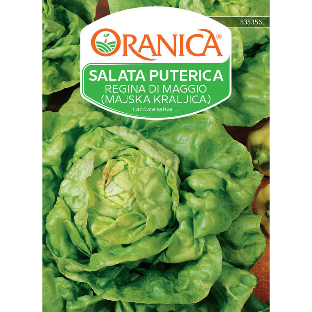Salata puterica Regina di Maggio (Majska kraljica)