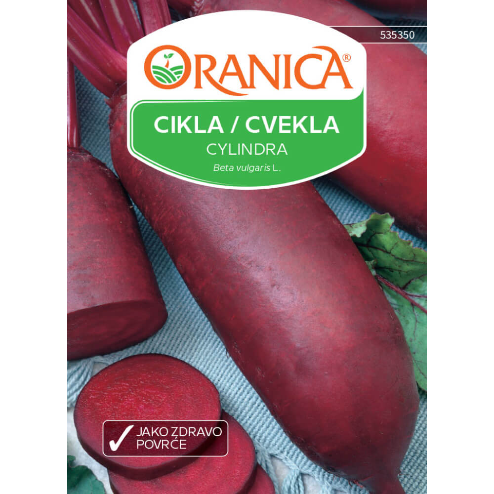 Cikla / Cvekla Cylindra