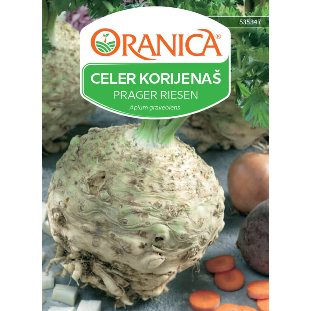 Celer korijenaš Prager Riesen