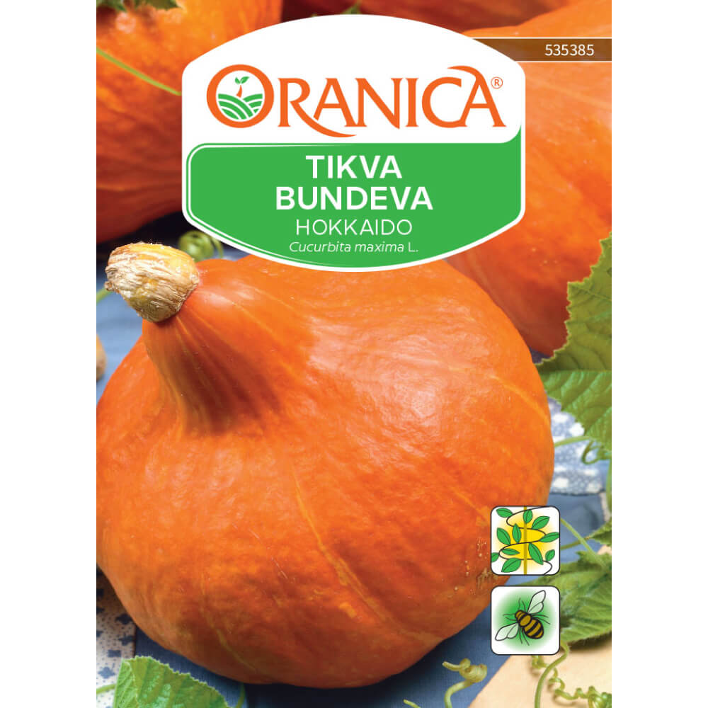 Tikva / Bundeva Hokkaido