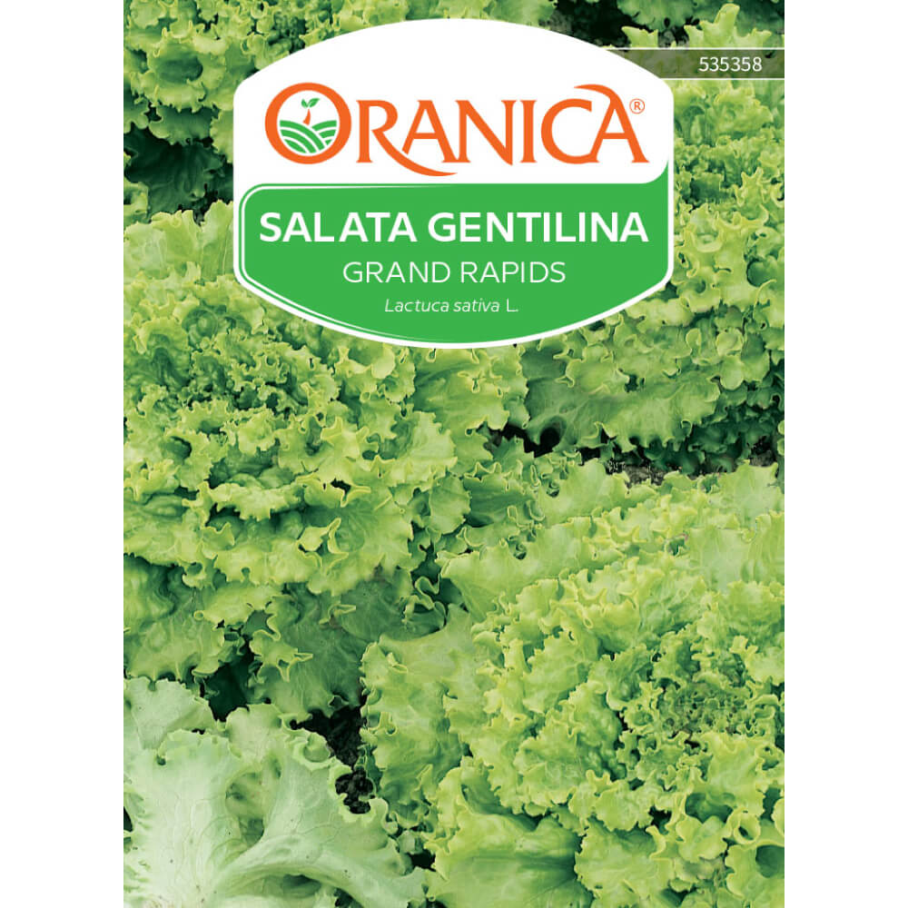 Salata Gentilina Grand Rapids