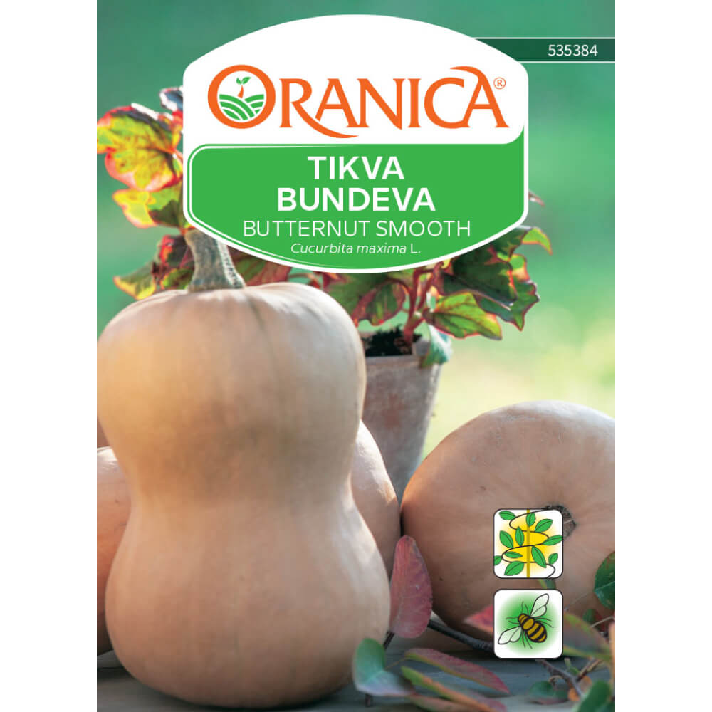 Tikva / Bundeva Butternut Smooth