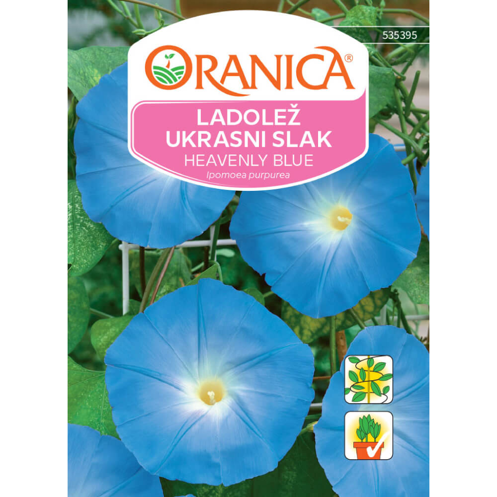 Ladolež / Ukrasni slak Heavenly Blue