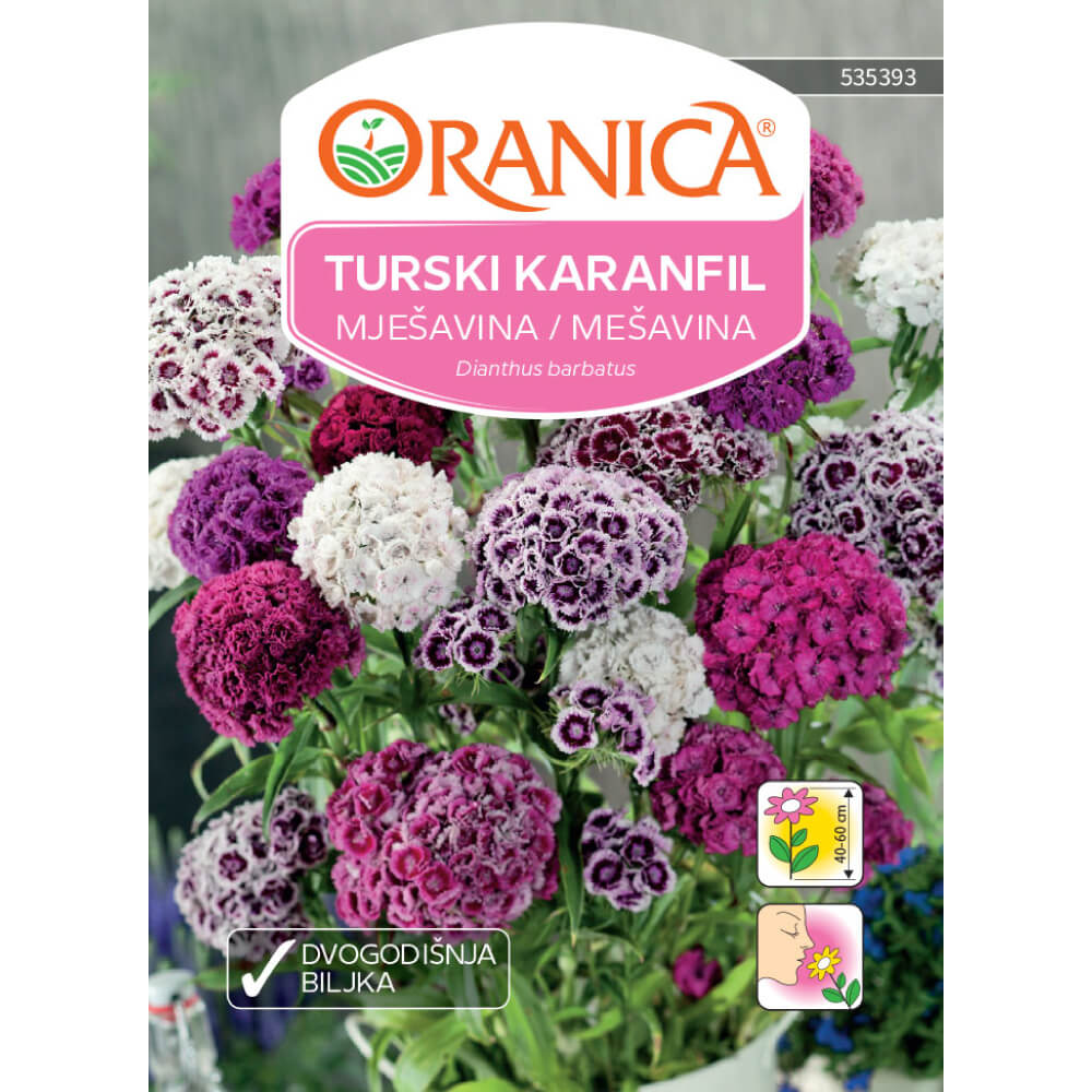 Turski karanfil Mješavina