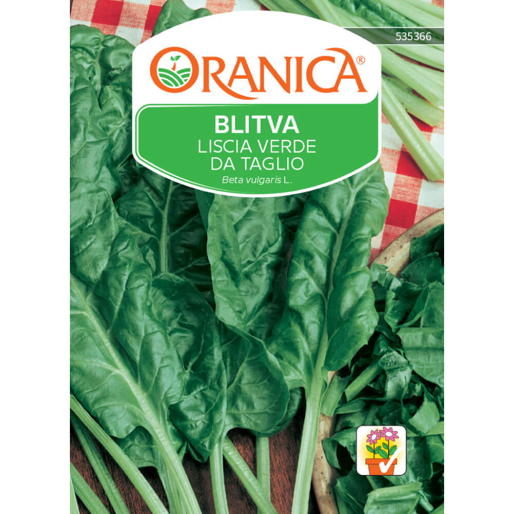 Blitva Liscia verde da taglio