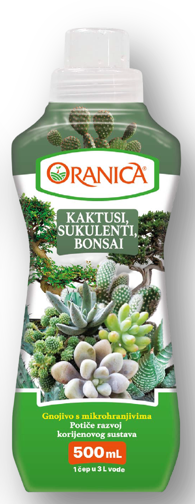 Kaktusi, sukulenti, bonsai