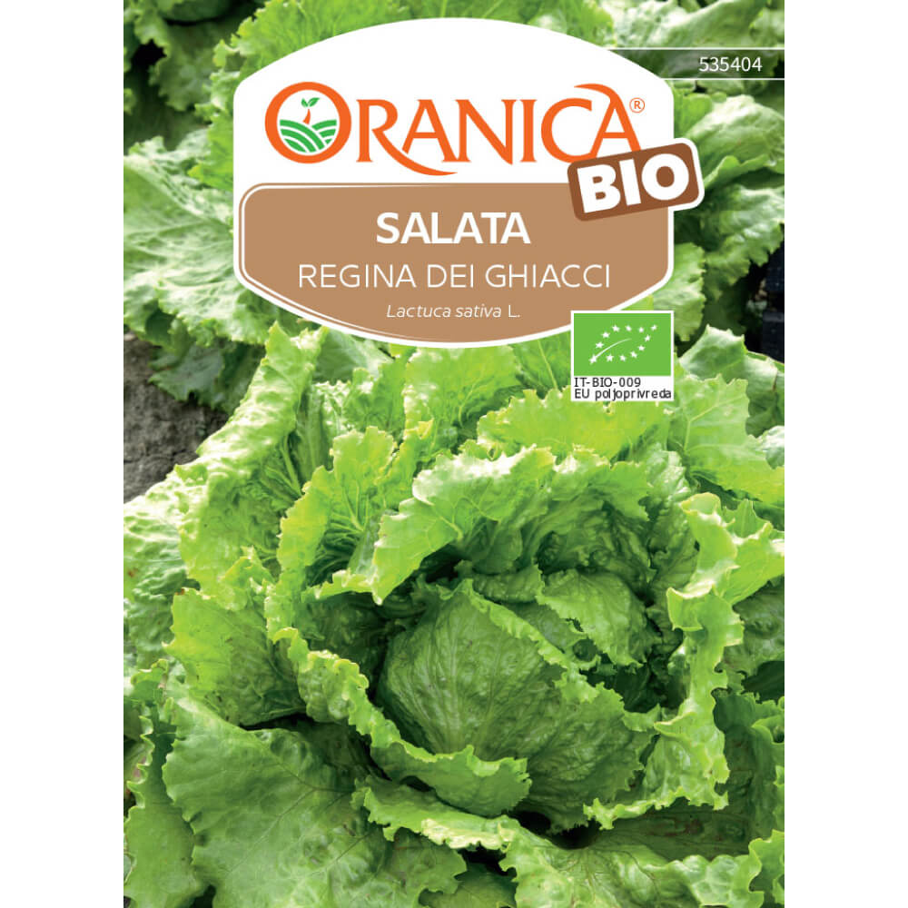 Salata BIO Regina dei Ghiacci