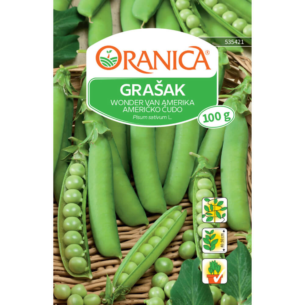 Grašak Wonder van Amerika (Američko čudo)