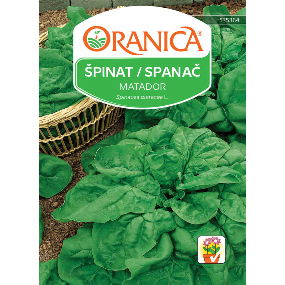 Špinat / Spanać Matador